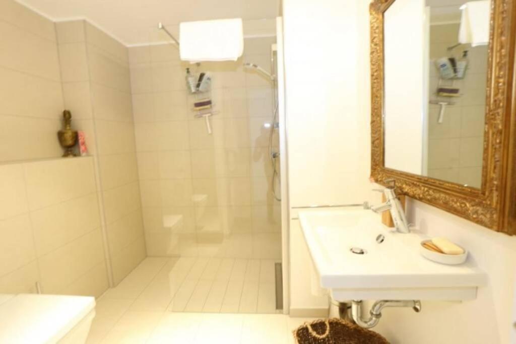 Large Family Retro Flat In City Center- Large Terrace & Garden View, Free Parking 卢森堡 外观 照片