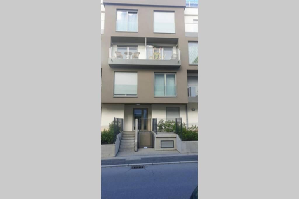 Large Family Retro Flat In City Center- Large Terrace & Garden View, Free Parking 卢森堡 外观 照片